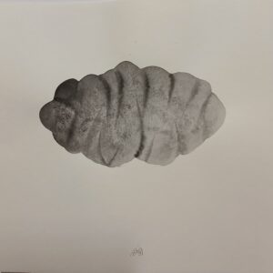 Marianne Reiners-Maaz materia prima Aquarell Vorzugsausgabe zur Schriftenreihe