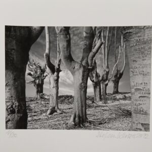 Stefan Kaiser Vorzugsausgabe zur Schriftenreihe